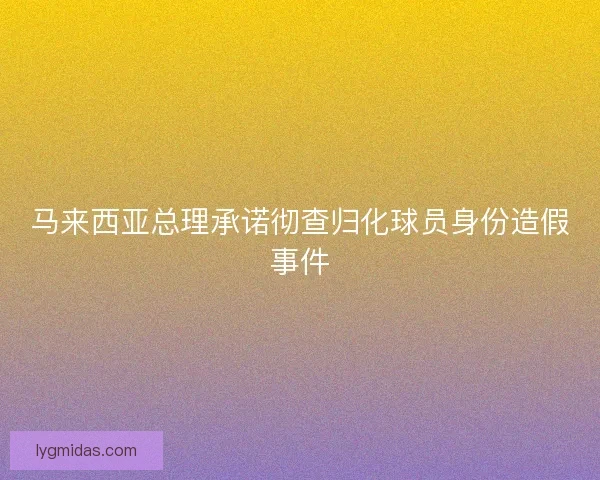 马来西亚总理承诺彻查归化球员身份造假事件